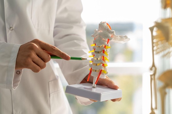 Comparing Spine Implants: Cervical vs Lumbar Implant Options